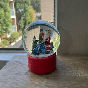 NWT Snowglobe